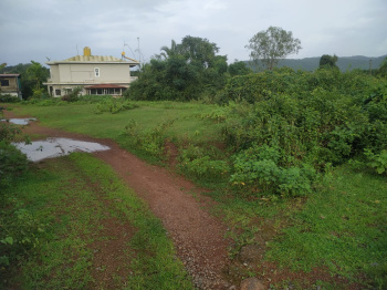 Wonderful Orchard Land is available for sale in Pirna North Goa
