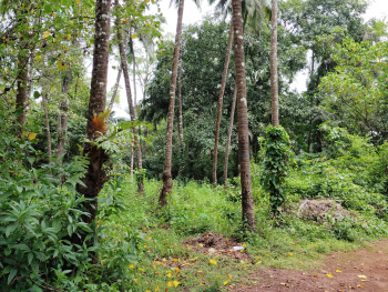 Premium Old Settlement Land Parcel is available for sale in Corgao North Goa