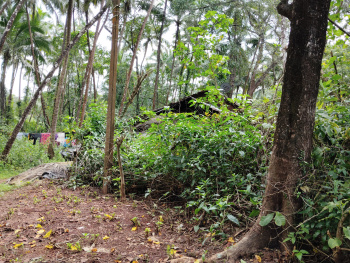 Premium Settlement Land in Calangute