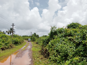 329000 Sq. Meter Residential Plot for Sale in Parcem, North Goa, Goa
