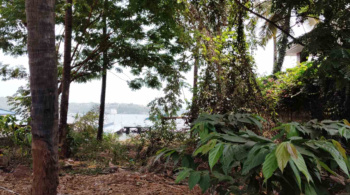 Property for sale in Reis Magos, Goa