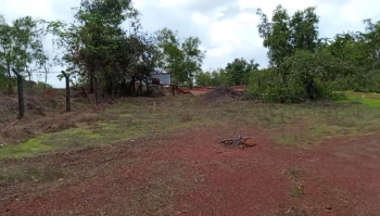 Premium Road Touch 3.5 Lakhs Orchards Land in Tivim FOR SALE