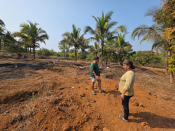 Premium developed Farmland in Newali Sawantwadi Sindhudurg district is for Sale