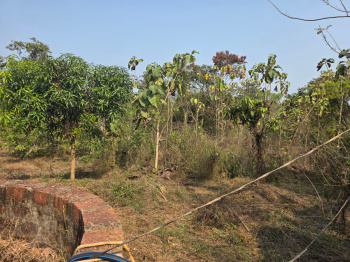 Property for sale in Sawantwadi, Sindhudurg
