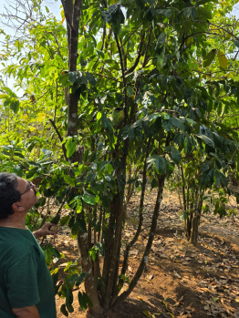 Property for sale in Sawantwadi, Sindhudurg