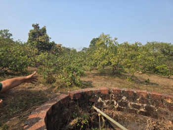 Property for sale in Sawantwadi, Sindhudurg