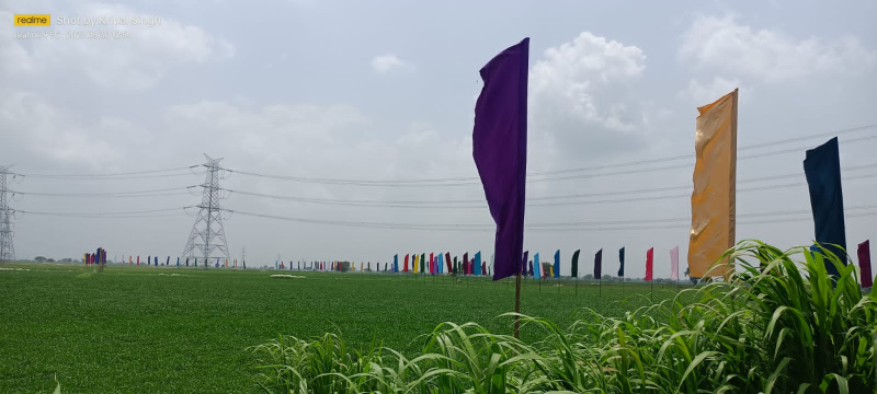 1000 Sq.ft. Residential Plot for Sale in By Pass Road, Indore