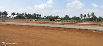 1200 Sq.ft. Residential Plot for Sale in Manikandam, Tiruchirappalli