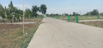900 Sq.ft. Residential Plot for Sale in Ayodhya Bypass, Bhopal