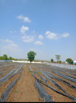 Property for sale in Vidisha Road, Bhopal