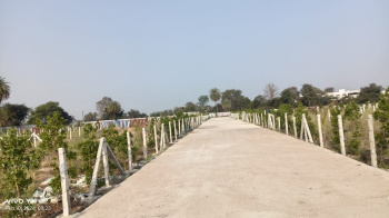 Bhopal Shahar ka sabse luxury farmhouse project