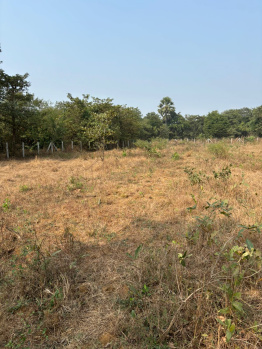 Property for sale in Kelwa Palghar, Mumbai
