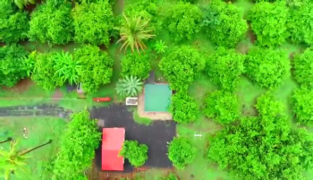 Property for sale in Dahanu, Palghar