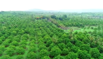 Property for sale in Dahanu, Palghar