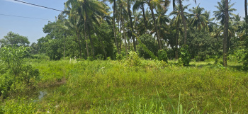Agricultural/Farm Land for Sale in Agashi Road, Mumbai (18 Guntha)