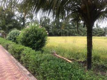 12.5 Acre Agricultural/Farm Land for Sale in Western Express Highway, Mumbai