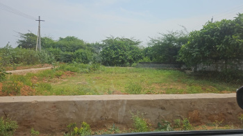 Commercial Lands /Inst. Land for Sale in Bhogapuram, Visakhapatnam (444.44 Sq. Yards)