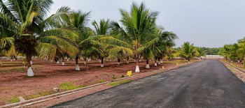 Residential Plot for Sale in Bhogapuram, Vizianagaram (444.44 Sq. Yards)