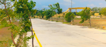 Residential Plot for Sale in Dindigul Road, Tiruchirappalli (1200 Sq.ft.)
