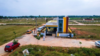 1200 Sq.ft. Residential Plot for Sale in Shanmuga Nagar, Tiruchirappalli