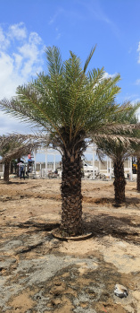 Property for sale in Mathur, Tiruchirappalli