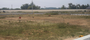 Property for sale in Panjapur, Tiruchirappalli