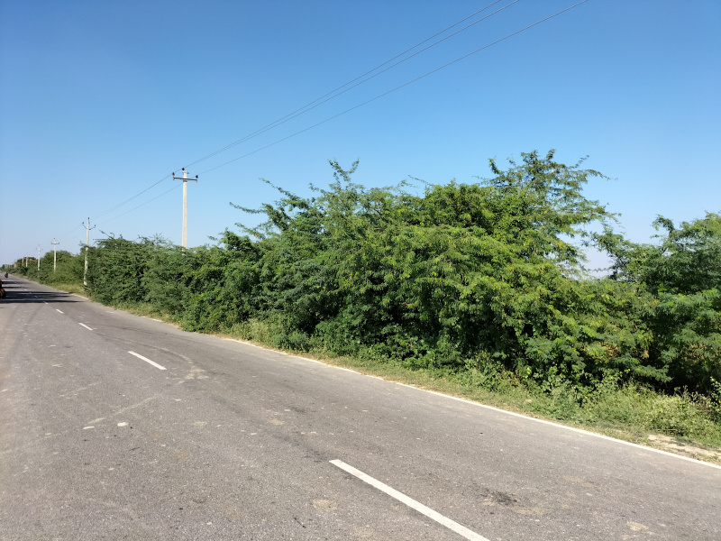 50 Acre Agricultural/Farm Land For Sale In Civil Lines, Budaun