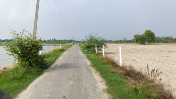 77 Acres sale Agriculture Land in Budaun Up