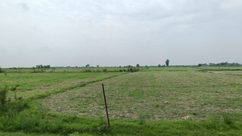 500 Acres Sale Agriculture Land Near River Ganga In Budaun Up