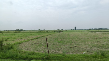 77 Acres sale agriculture land in Budaun UP
