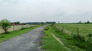 Property for sale in Bankner, Delhi