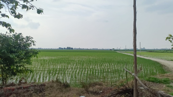 Property for sale in Bankner, Delhi