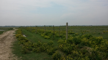 416 acres sale agriculture land in sitapur up