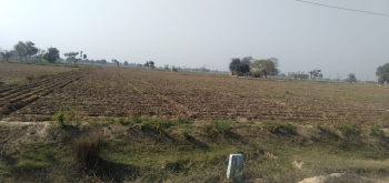 500 Acres sale Agriculture Land in Sitapur Up