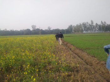 Property for sale in Kamalpur, Sitapur