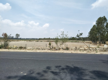 200 acres Sale Agriculture Land in Katra Shajhanapur  UP