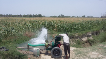 120 acres sale agriculture land in budaun Up
