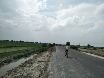 Property Dealer Budaun Up { 50 Acres sale land}