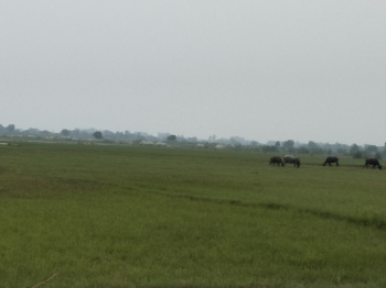 Property for sale in Agar Nagar, Ludhiana