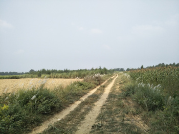 Property for sale in Agar Nagar, Ludhiana