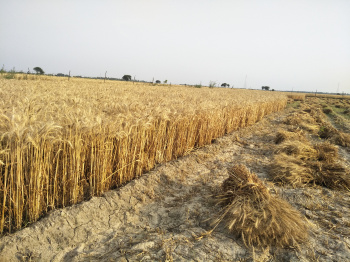 Property for sale in Jagat Block, Budaun