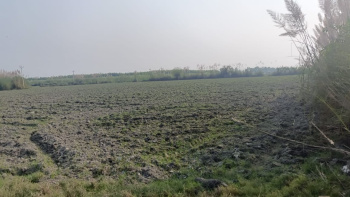 40 Acres Sale Agriculture Land Budaun Up