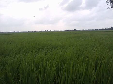 Property for sale in Saidpur Budaun