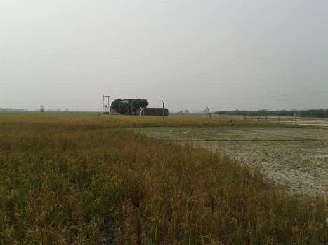 100 acres sale agriculture land