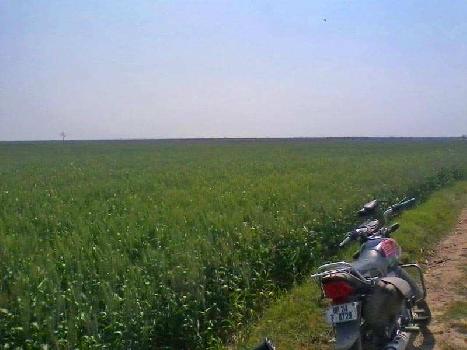 200 acres sale agriculture land in budaun