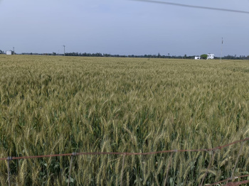 Property for sale in Saidpur Budaun