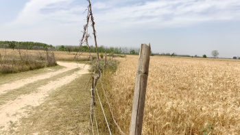 Property for sale in Saidpur Budaun