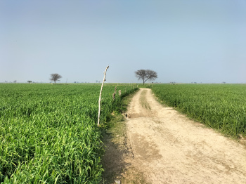 Property for sale in Kachhla, Budaun