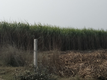 Property for sale in Civil Lines, Budaun