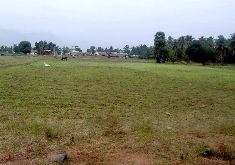 50 Sq. Yards Residential Plot for Sale in Parikrama Marg, Vrindavan